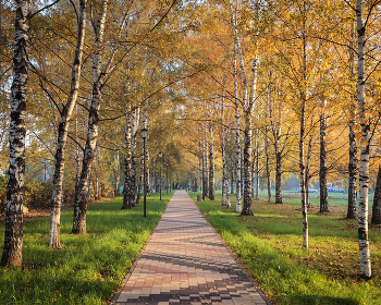 Утро в осеннем парке... / ***