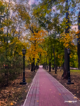 Осенние мотивы. / «Осень выкрасила клены колдовским каким-то цветом».