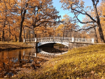 В осеннем парке / ***