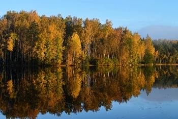 Утреннее...... / Петербург. Осиновая Роща. Октябрь