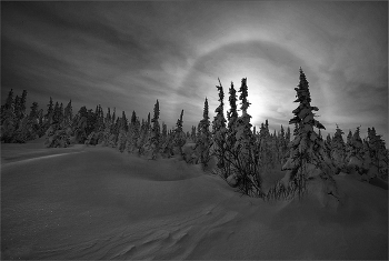 Затерянные в снегах / Затерянные в снегах