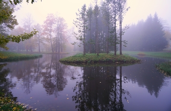 Утро / Екатериненский парк
