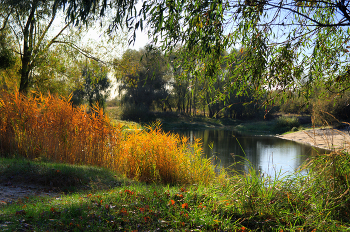 Затон / Утро