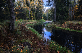 Осенний лес / ***