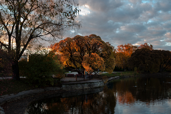 &nbsp; / Осенний закат в Московском парке
