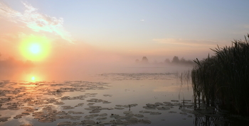 Рассвет, лето. / Туман на озере Сосновое.