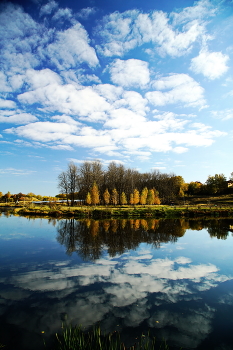 Глубокая осень. / Середина октября, парк.