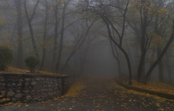 Утро в парке..... / Железноводск. Октябрь