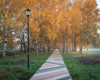 Утро в осеннем парке... / ***