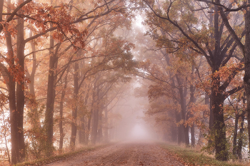 Осенью, затерянной дорогой / по затерянной дороге осень тихонько бредет ...
