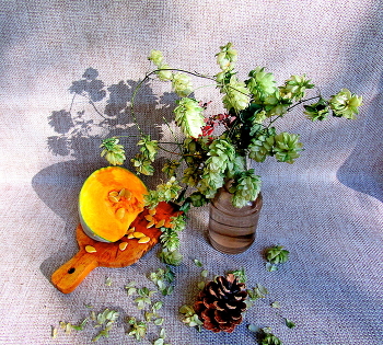 НАТЮРМОРТ / ТЫКВА ХМЕЛЬ ШИШКА