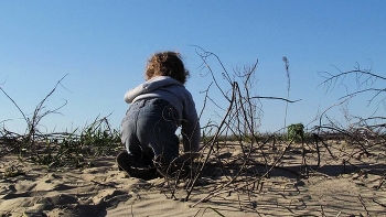 там, за горизонтом / б.о.