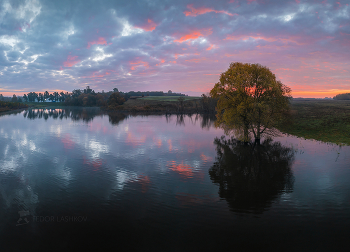 Краски рассвета / Из серии «Ива на пруду». 
Пруд реки Псёл. 
Прохоровский район. Октябрь, 2022 года.
Из фотопроекта "Земля Белгородская».