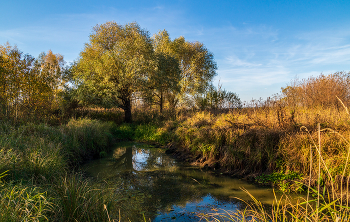 Середина октября 2022 / 16.10.2022 Дальний восток Московской области, Дрезна