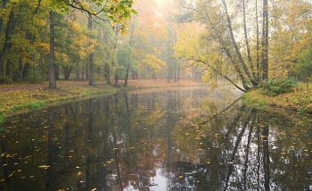 Осень / Екатериненский парк