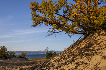 Берега Ольхона / ***