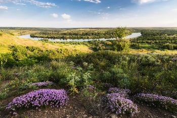 Чабрец и Донец / ***
