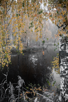 &nbsp; / Октябрь, утро