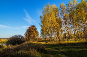 Середина октября 2022 # 02 / 16.10.2022 Дальний восток Московской области, Дрезна