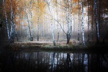 &nbsp; / Осень однако…