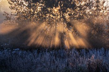 &nbsp; / осень, утро, туман, иней, свет