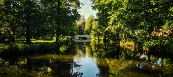 Мост через озеро / Мост через озеро в живописном месте