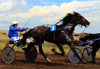 Скачки / Праздник в селе