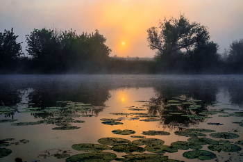 Лето, Студёное. / Рассвет на озере Студёное.