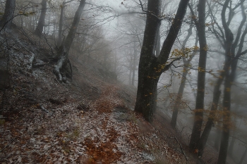 Осенняя метель..... / Железноводск. Октябрь