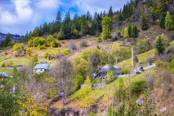 Осень в румынских Карпатах (11) / ***