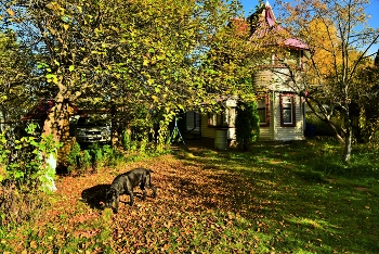"Осень пришла незаметно, грустно шумя листвой..." / "Осень пришла незаметно,
 Грустно шумя листвой,
 В сердце неся прохладу,
 В чувствах сбавляя зной ..."