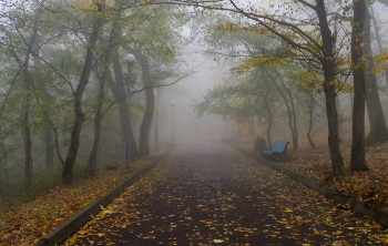 В парке туманном...... / Железноводск. Октябрь