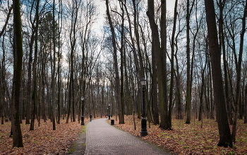 В осеннем парке... / ***