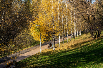 осень / конец октября, парк Москва