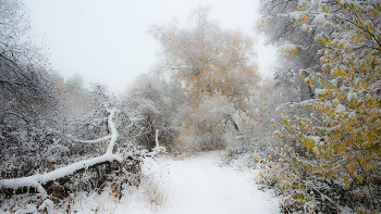 &nbsp; / Первый снег в последний день сентября