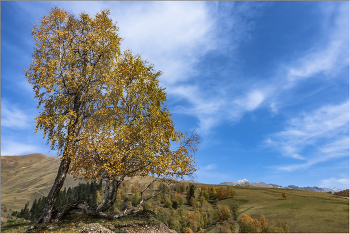 Кавказская осень / На высоте 2000 м.