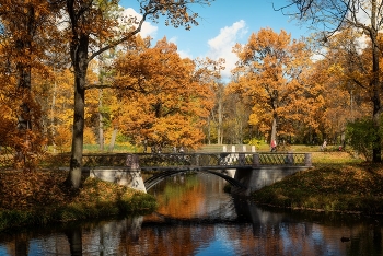 Золото осени / Царское Село. Александровский парк. Октябрь 2022.