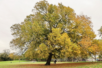 Осень 2022 / ***