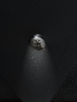 &nbsp; / Ein Nachtwesen