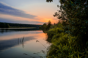 Вдоль берега. / Последнее утро лета. Озеро Сосновое.