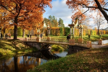 Золото осени / Царское Село. Александровский парк. Октябрь 2022.