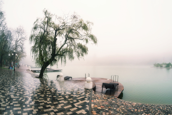 Осенняя меланхолия. / Осенняя меланхолия. Туманно-дождливый парк у озера 30"Ка в городе санаториев Железноводске, Ставропольский край.