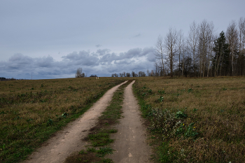 Дорога в поле / Дорога в поле в районе станции Лучеса, Витебск.