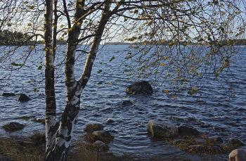 «У осени особенная грусть…» II / Берег Финского залива. Вуосари, Хельсинки.