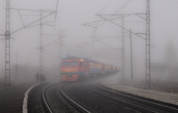 Утро . 13.10.2022. / Опят нет.