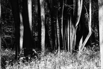 *не / проницаемый