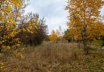 осенние зарисовки / октябрь, Москва, парк &quot;Яуза&quot;