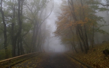 В парке осеннем.......... / Железноводск. Октябрь