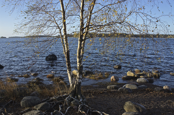 «У осени особенная грусть…» / Берег Финского залива.
 Вуосари, Хельсинки.