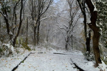 Кавказская осень..... / Железноводск. Ноябрь